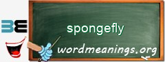 WordMeaning blackboard for spongefly